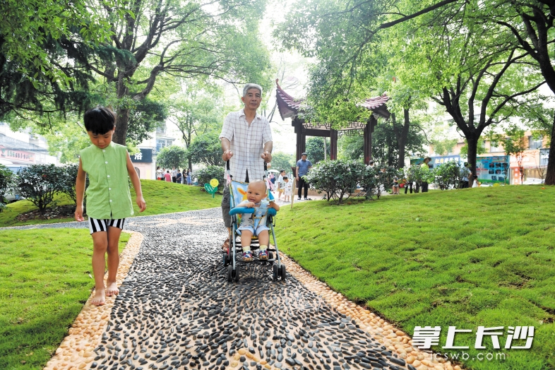 火星街道社区公园内，市民在家门口享受绿色城市建设成果。长沙晚报记者 周柏平 摄