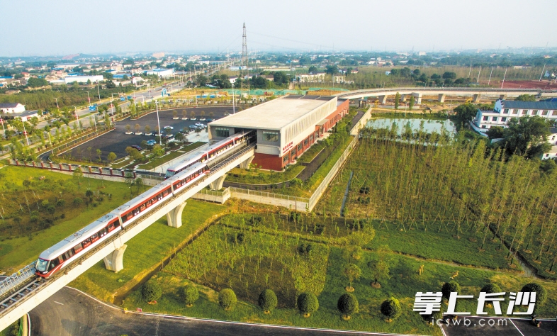 长沙县 梨磁悬浮站旁绿色成片，成为一道美丽的风景线。长沙晚报记者 邹麟 摄