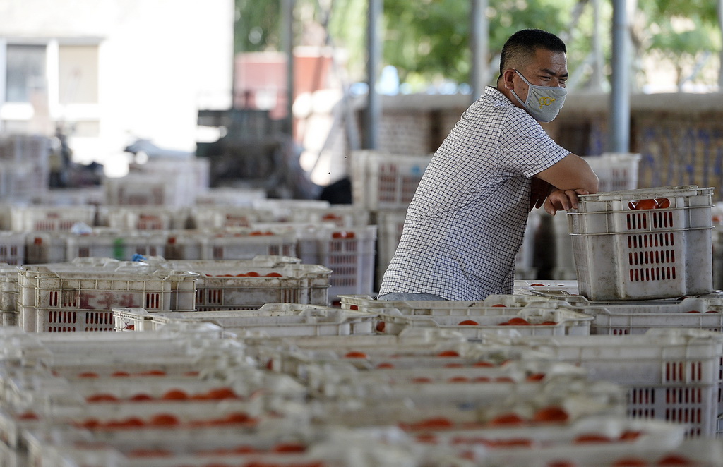 宁夏灵武市梧桐树乡一家西红柿收购点，一位商贩正在等待外地的客商上门来洽谈收购（8月2日摄）。新华社记者 彭昭之 摄