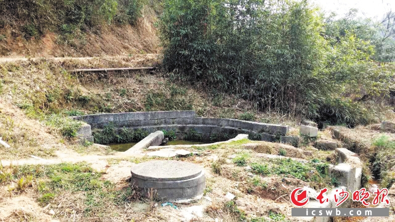 ▲柳树塘井旧貌,只是一个粗陋的大土坑。 雨花区环保局 供图