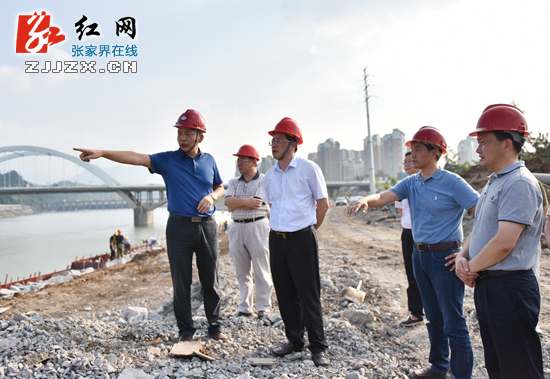 杨光荣调研永定区部分市政项目建设