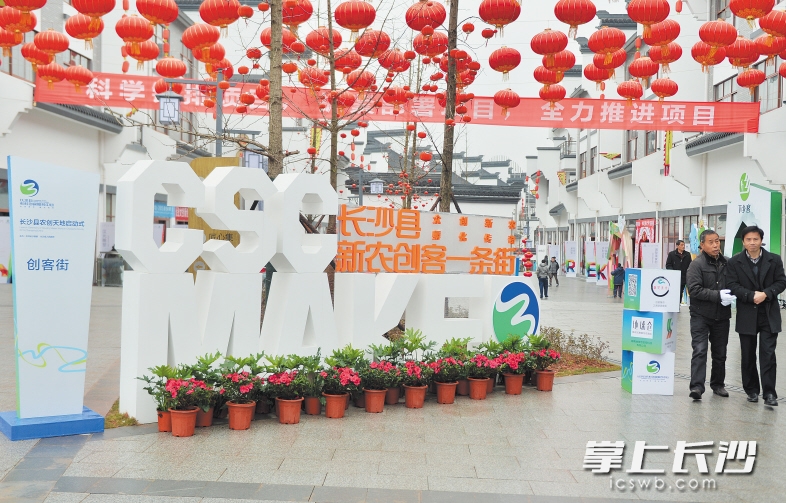 长沙县率先在全国启动农村创客平台建设。长沙晚报记者 邹麟 摄