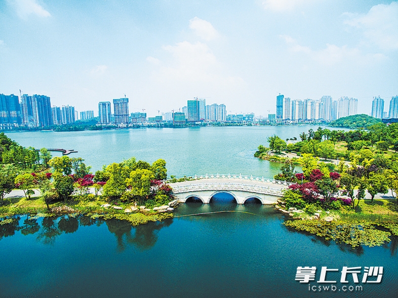 两型岳麓，城市与自然和谐共生。长沙晚报记者 邹麟 摄