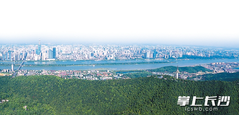 岳麓山拥有良好的生态环境，是名副其实的城市氧吧。 长沙晚报记者 余劭劼 摄