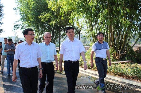 中国衡阳新闻网 www.e0734.com