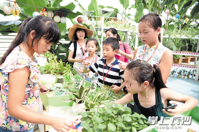 　　在柯柯农艺梦工厂，小朋友领取小植物。长沙晚报记者 刘琦 摄