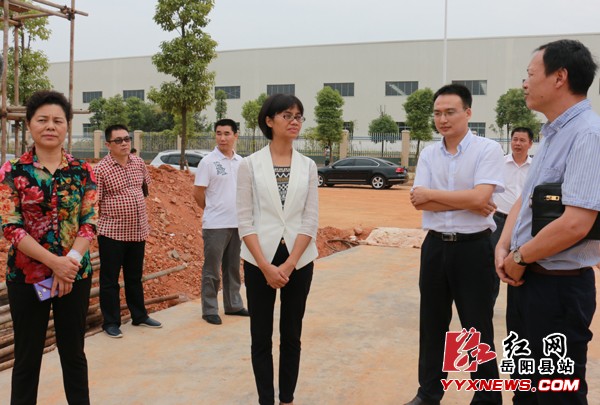 胡小闽来我县调研重大项目建设推进工作