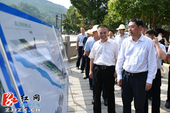 王志刚到武陵源区调研三化三改工作