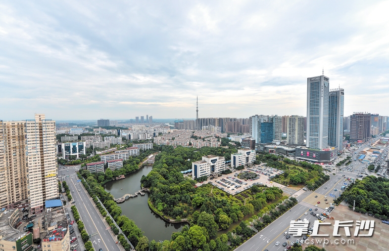 长沙县委机关大院拆除围墙和大门后，与星沙文化广场融为一体，成为星沙主城区一片亮眼的绿岛。长沙晚报记者 邹麟 摄