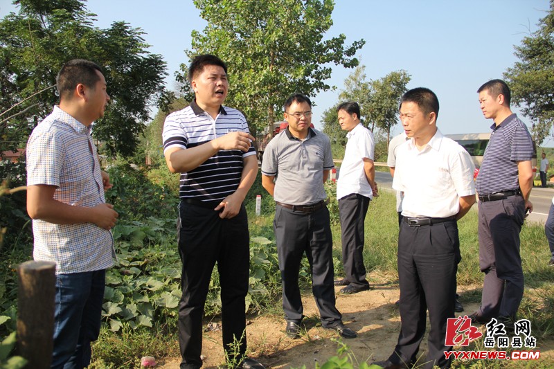 曾平原调度公路路域环境综合治理工作