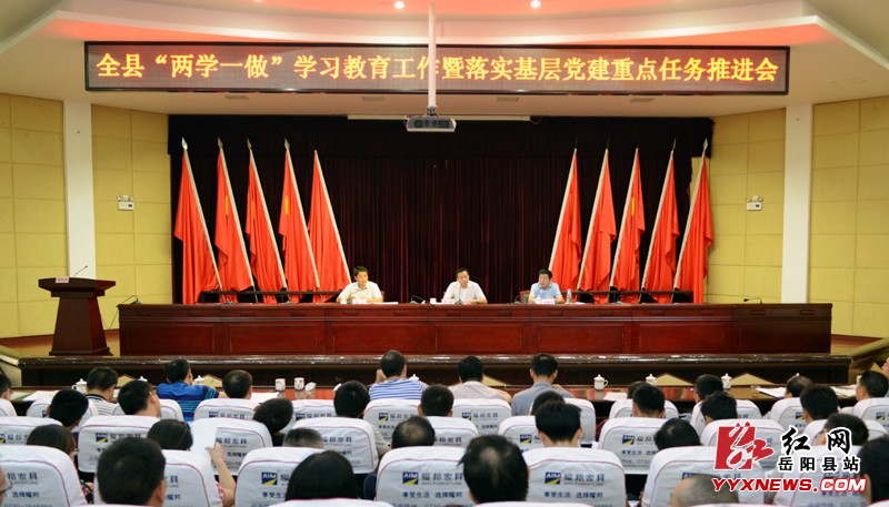 岳阳县全力推进“两学一做”工作