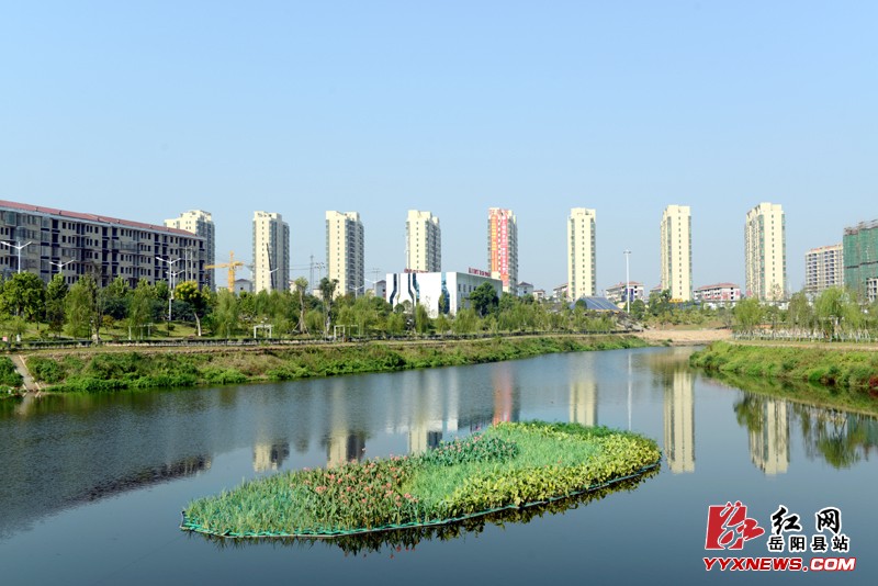 朵朵水中花 扮靓城南河