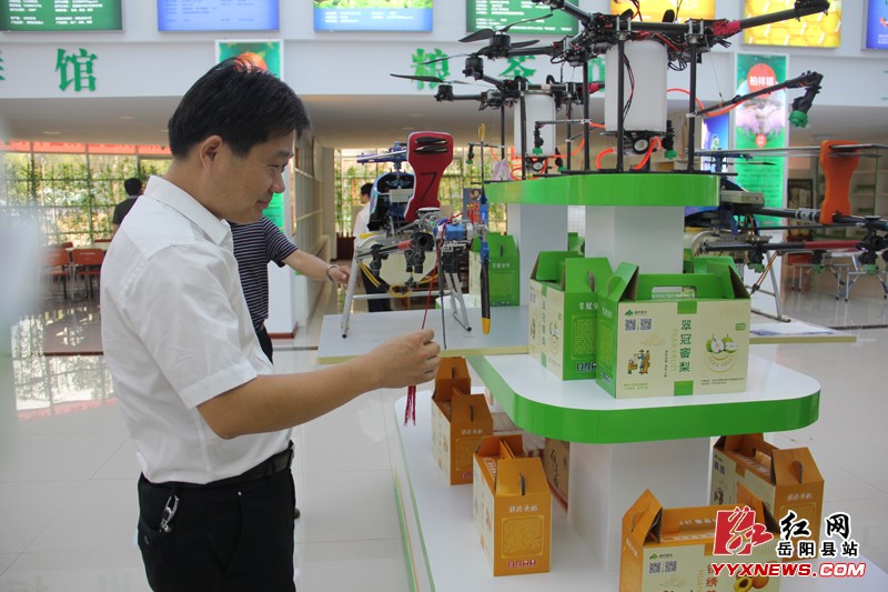 云溪区“四大家”领导来我县考察