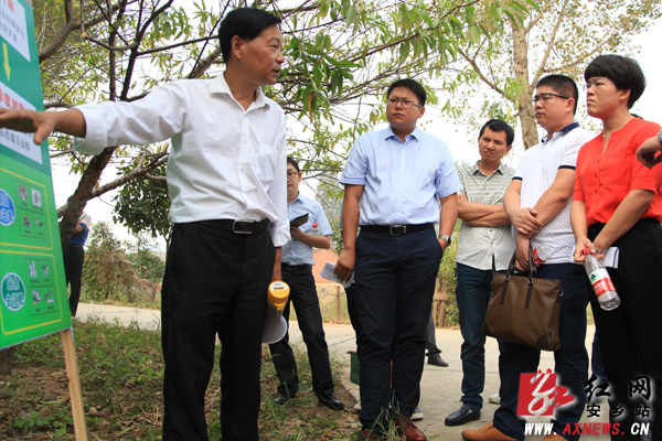 湖南省安乡县乡镇党委书记与向阳村村支书提问交流