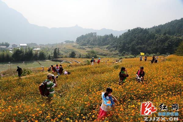 张家界乡村旅游收入_永定区、桑植县被列入2017年湖南乡村旅游扶贫项目县