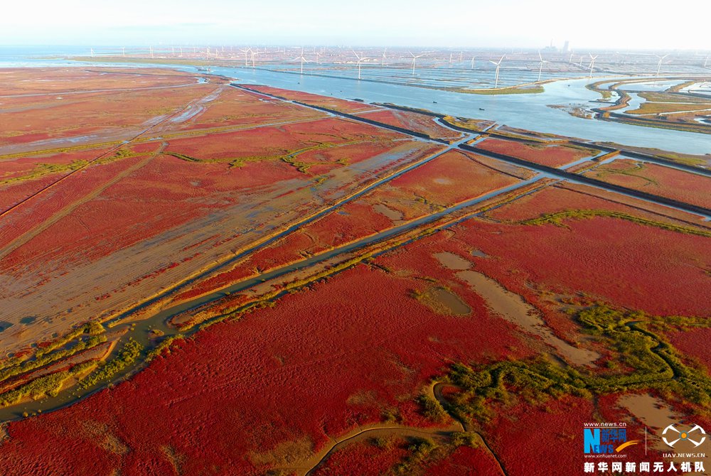 图为航拍山东省东营市境内的黄河入海口湿地.