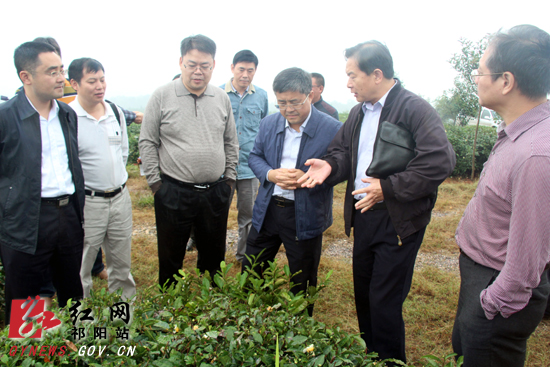 祁阳成功创建省级出口食品农产品质量安全示范