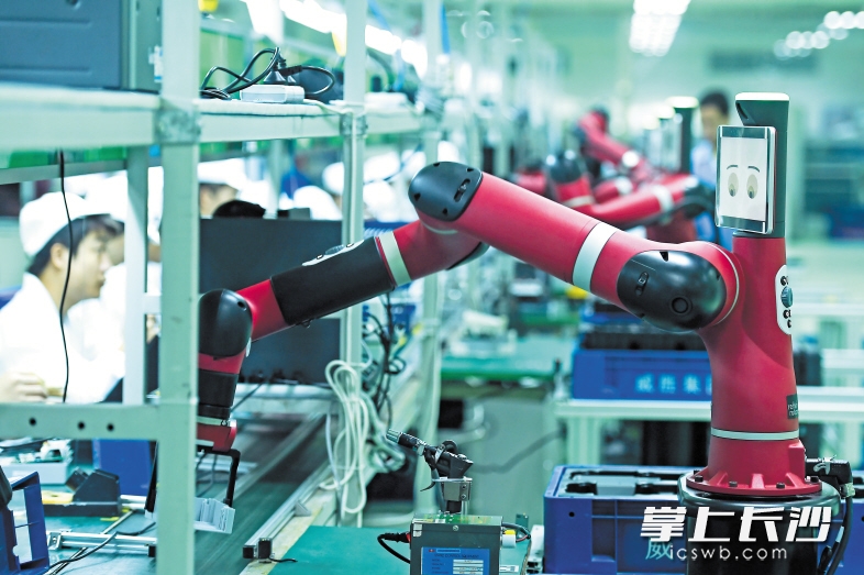 长沙高新区威胜科技园内，威胜智能电表生产车间里机器人装配流水线，机器人可以代替人完成多项重复复杂工作。 长沙晚报记者 黄启晴 摄
