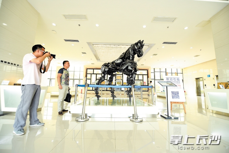 在长沙高新区华曙高科的展厅中，一匹部分零件由3D打印的机械马吸引众人的目光。