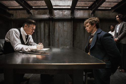 格雷夫斯审讯纽特