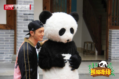 奶爸黄晓明