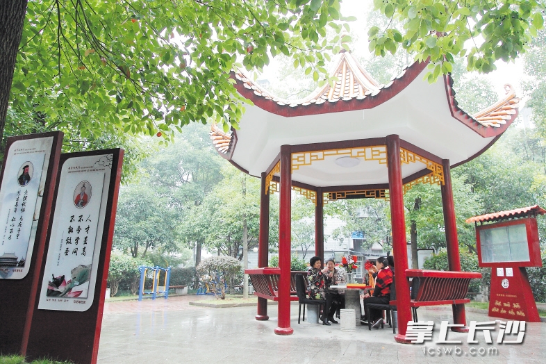 通过社区提质提档建设，马王堆街道马王堆社区从老旧小区变宜居家园，居民在小花园内休闲赏景，其乐融融。均为长沙晚报记者陈飞 摄