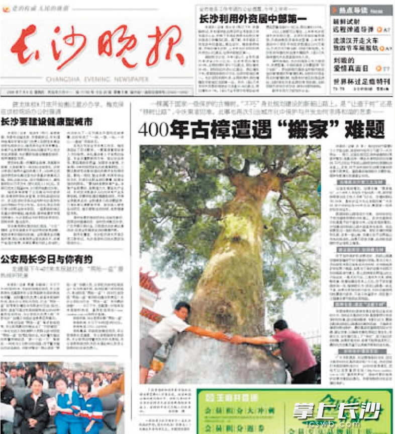 2006年7月6日，本报头版头条以《400年古樟遭遇“搬家”难题 》为题，报道了由于修路，古樟是移栽还是保留，令相关部门感到为难一事，引发全城关注。