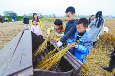 稻花香里亲子嘉年华在宁乡举行