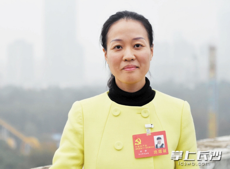 湖南省党代表刘学建议:留住老长沙记忆与技艺