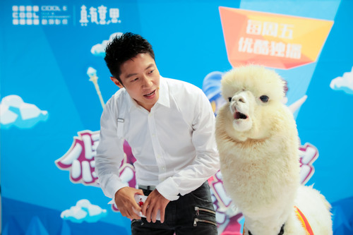 撒贝宁采访羊驼