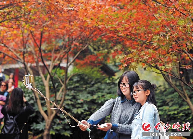 2016中国(长沙)麓山红枫节暨文明旅游志愿服务