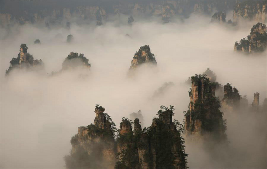 Scenery of sea of clouds in Zhangjiajie