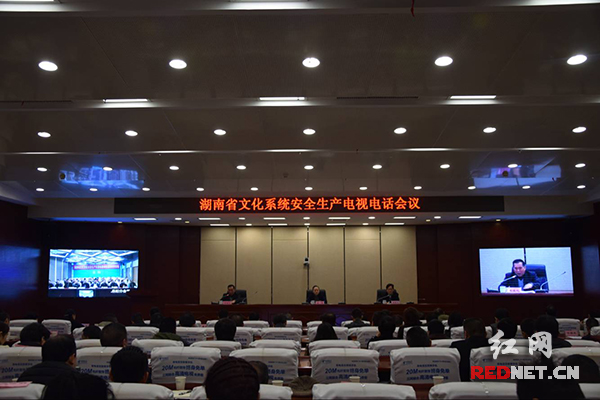 湖南省文化系统安全生产电视电话会议在长召开