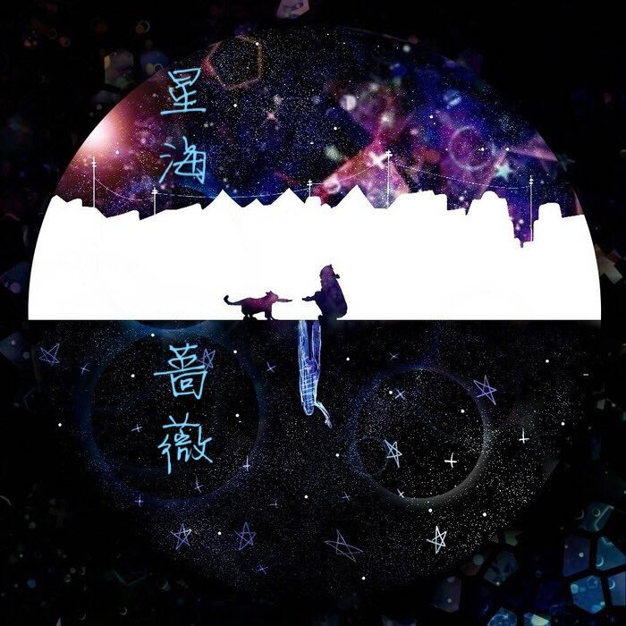 小说《星海蔷薇》.jpg