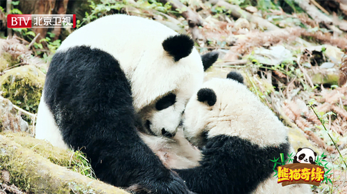 梦梦与妈妈甜蜜