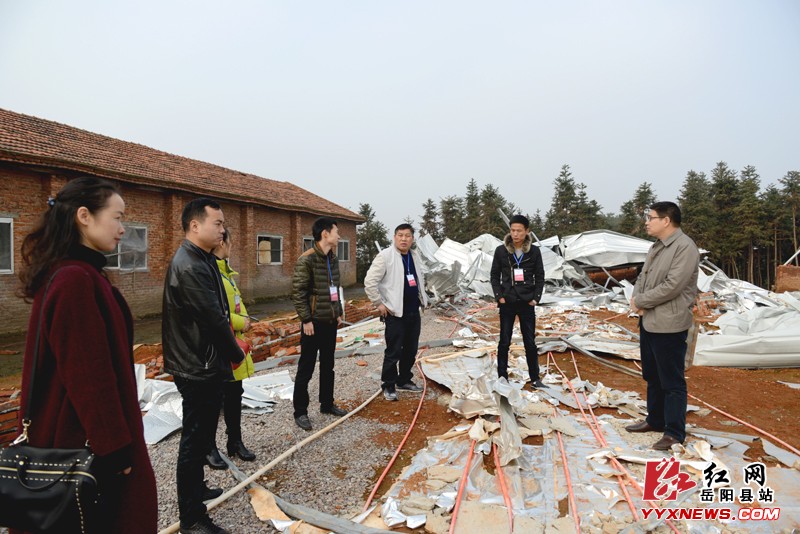 我县成立违法建设“市民监督团”