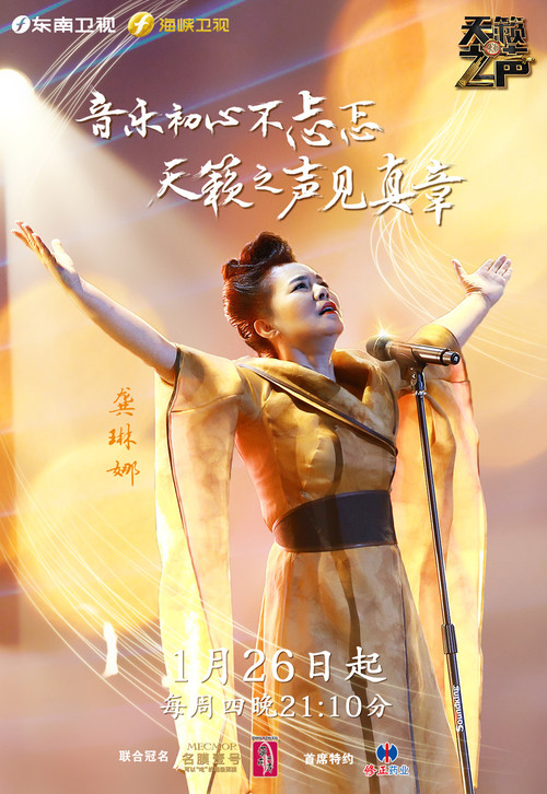 龚琳娜（海报）