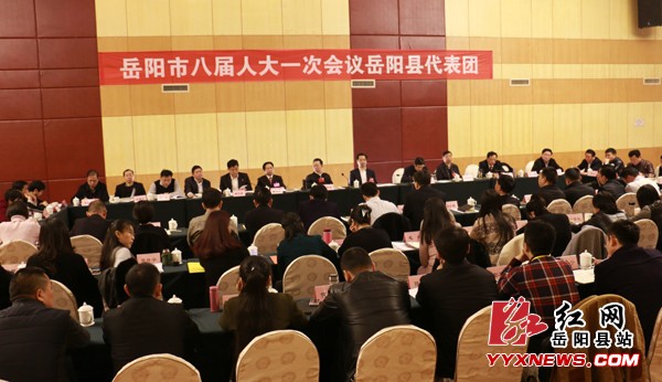 岳阳县人大代表热议市《政府工作报告》