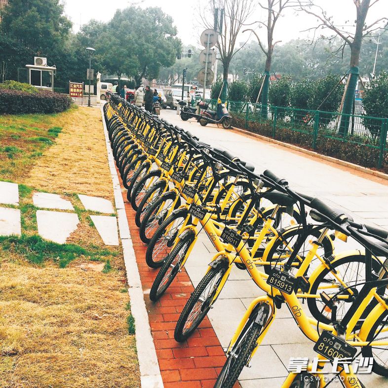 ofo共享单车拟在长沙投放5万辆自行车