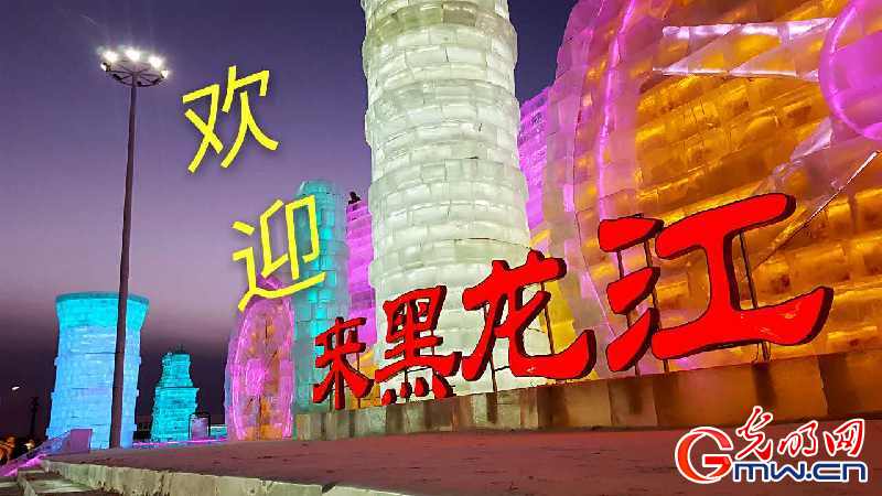 【直击东北经济】建设转型升级示范区 打造黑龙江振兴新引擎