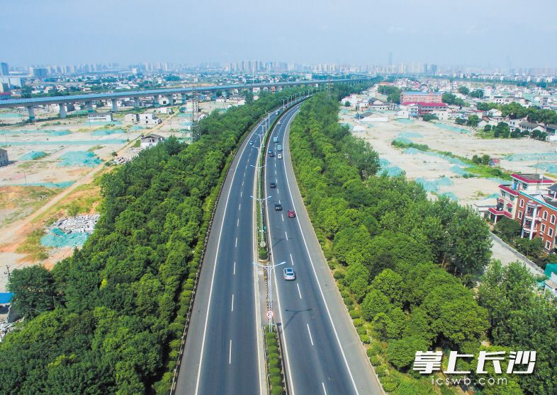 →黎托家具城片区拆违复绿后，道路两旁百米绿化带基本建成。