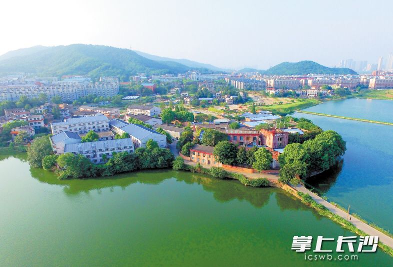 ↑瞄准“国际化的艺术创作中心”的定位，后湖片区借助“史上最大规模拆违控违”之势启动景区综合整治工程。