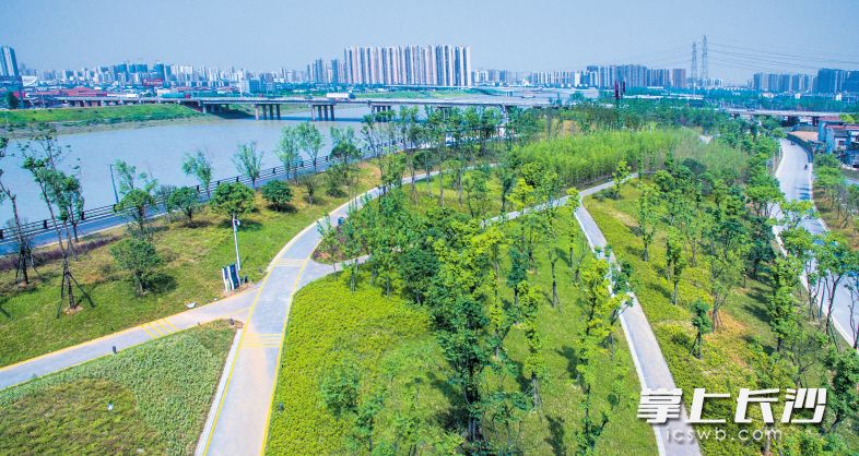 浏阳河东岸拆除沿河违法建筑后，就地建成了隆平公园核心景观及滨河路风光带。