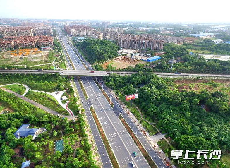 对入城口拆违复绿后，长沙市天心区芙蓉南路与绕城高速绿化带初步成型。