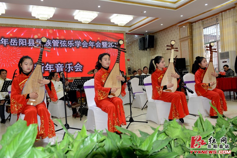 岳阳县管弦乐学会举办新年音乐会