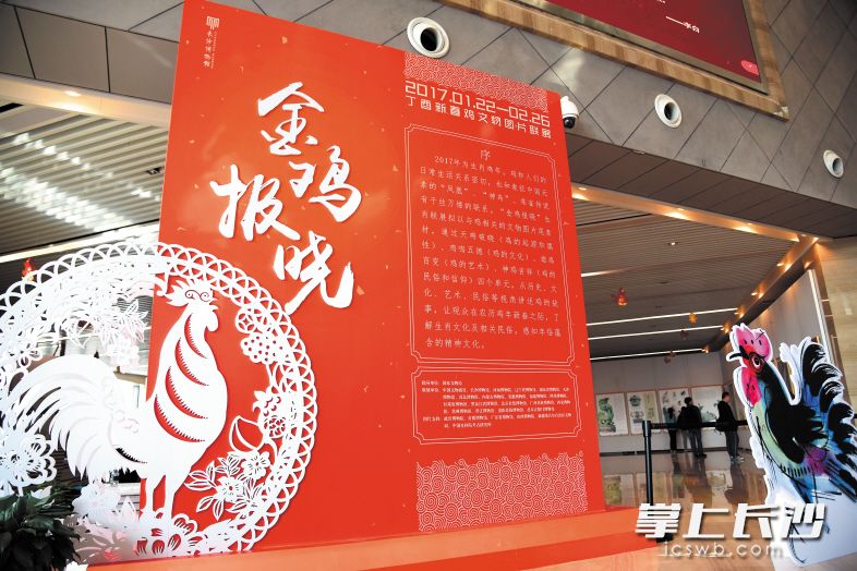 昨日，长沙博物馆“金鸡报晓——丁酉新春鸡文物联展”开展，将持续到下月。 