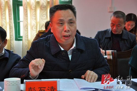 湖南省双峰县委副书记,县长彭石清作工作汇报
