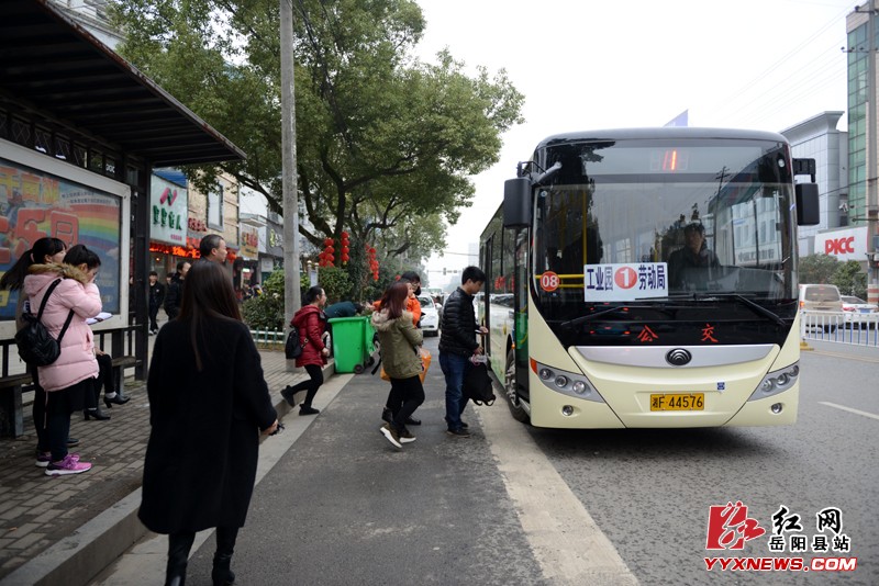 24台绿色环保公交正式上路