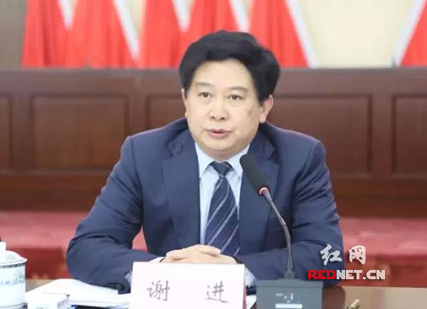 长沙市天心区委副书记,区长谢进