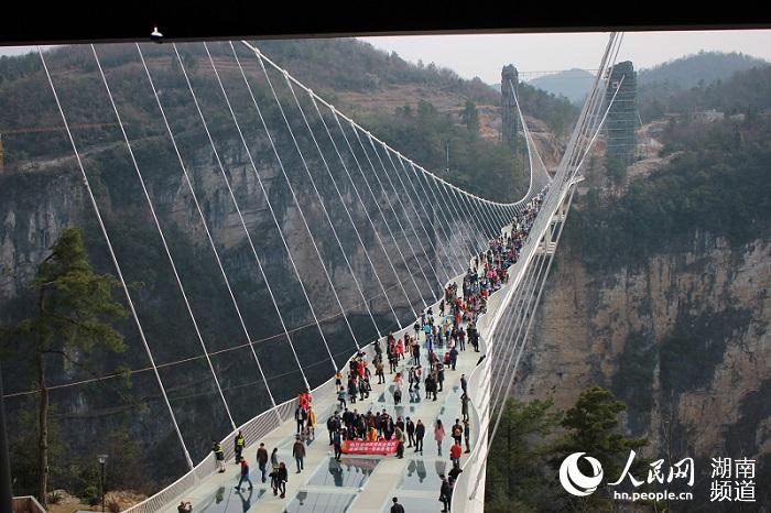 自开放以来张家界大峡谷玻璃桥游人如织